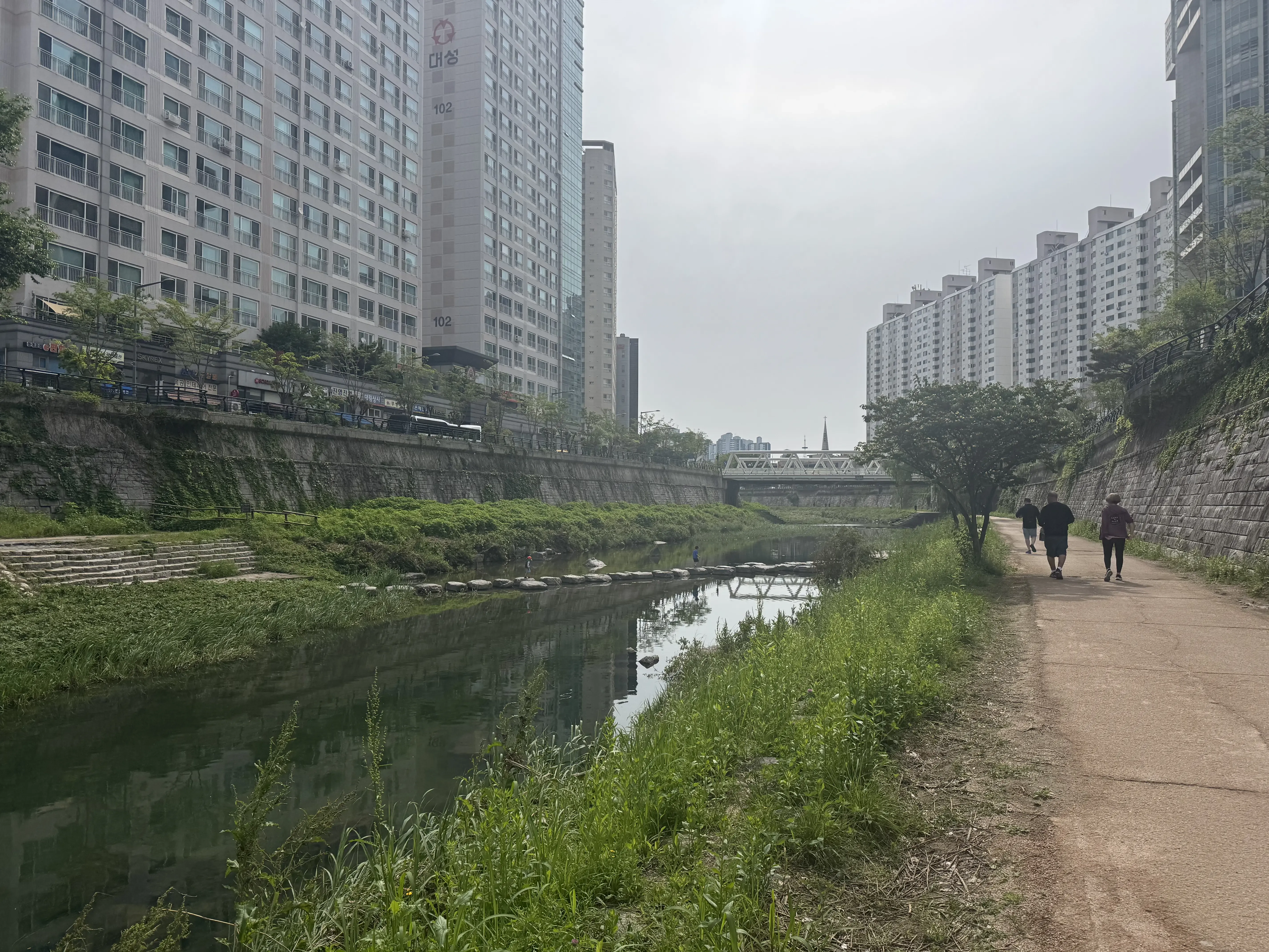 Cover image for A Walking Itinerary in Seoul