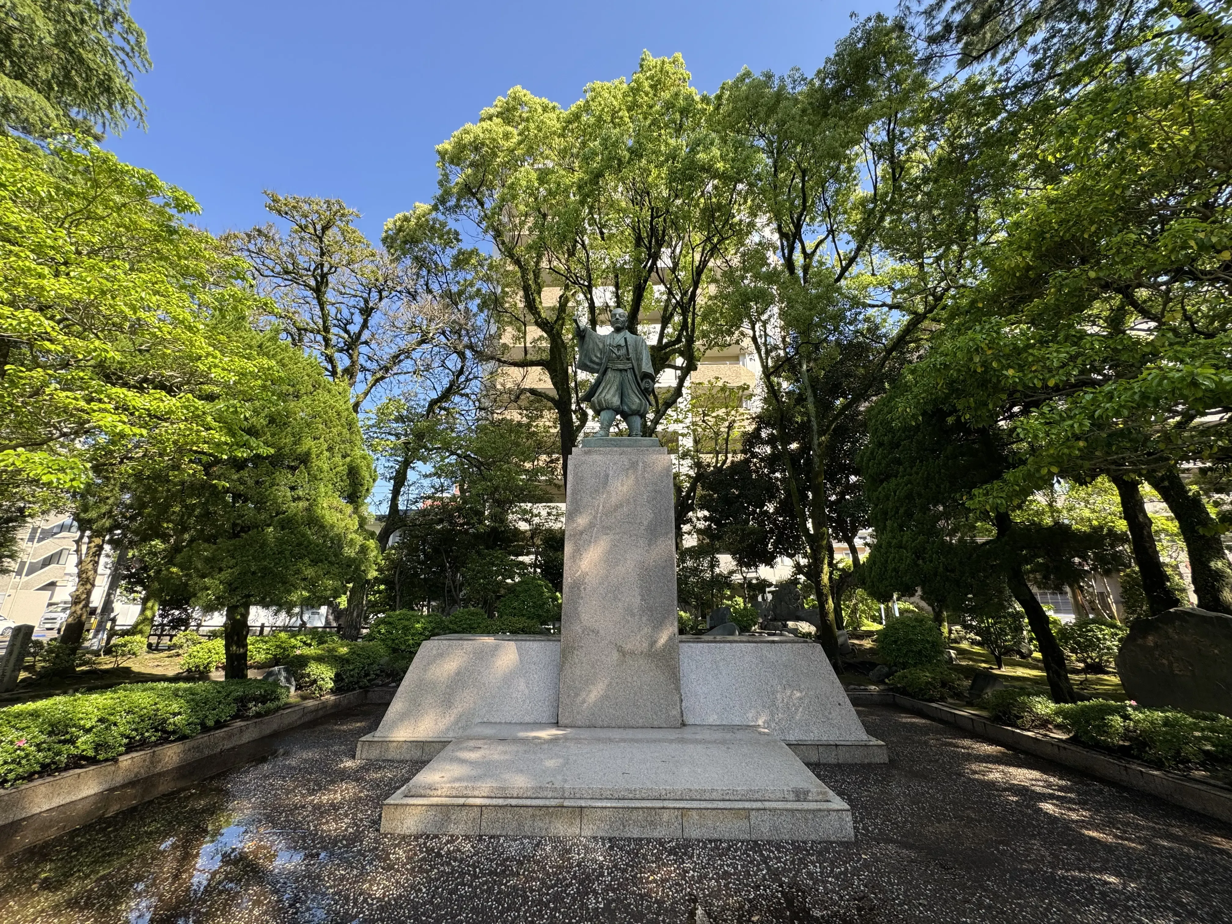 Image 6