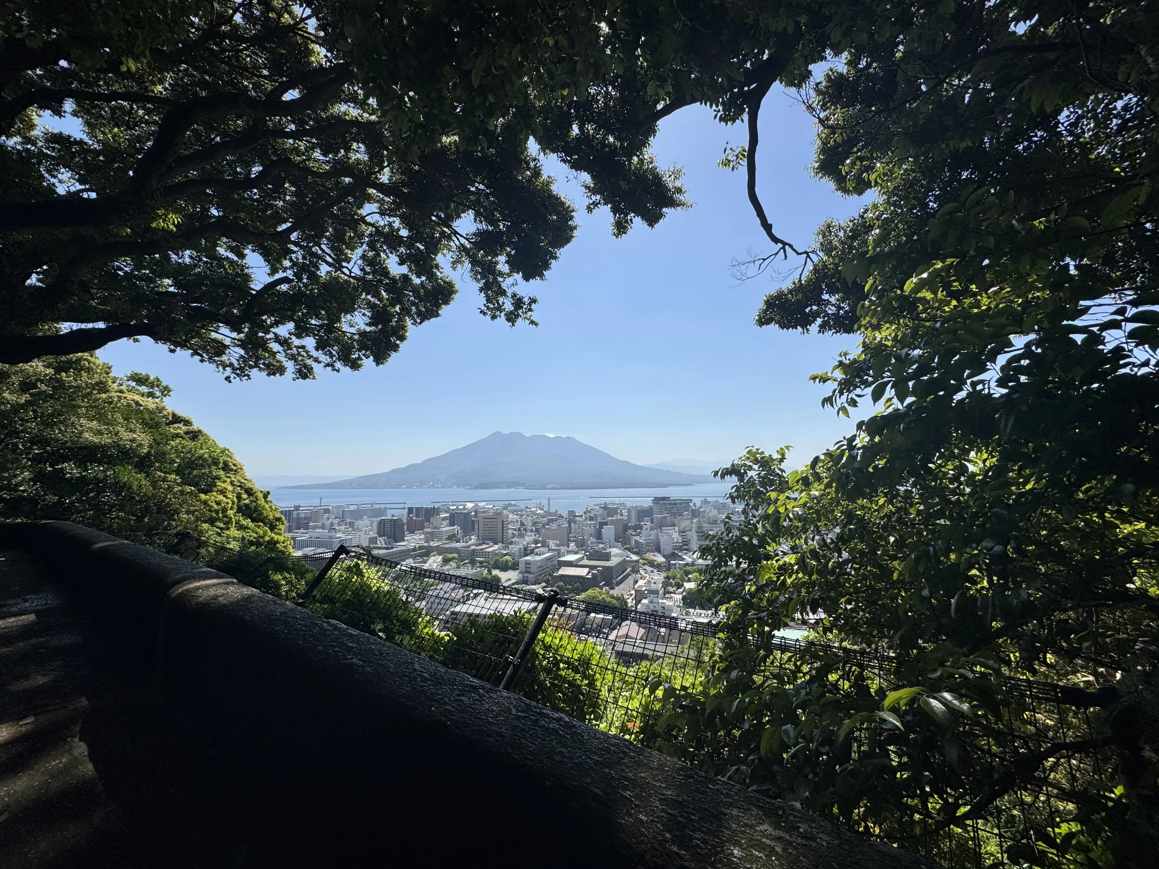 Image 10