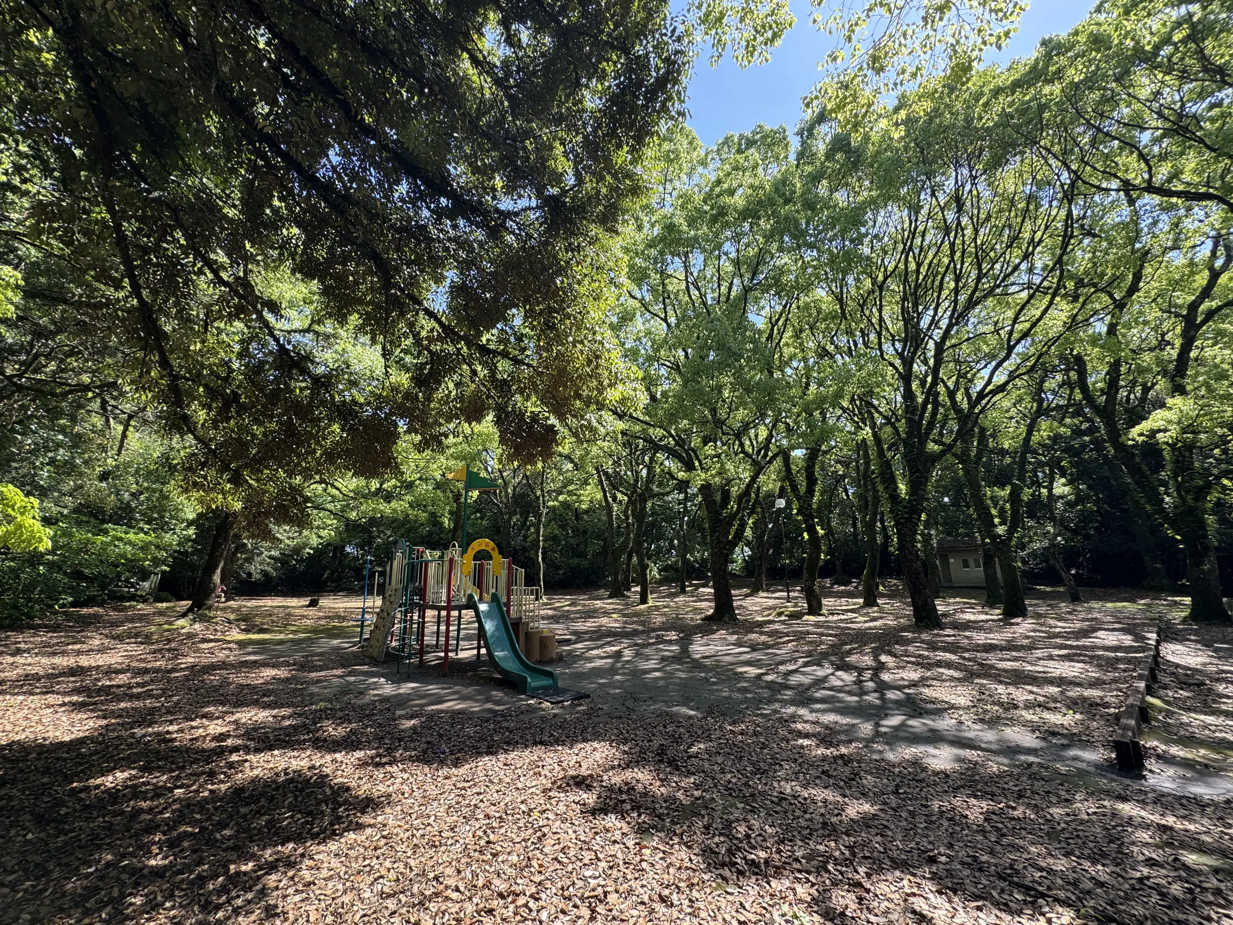 Image 12