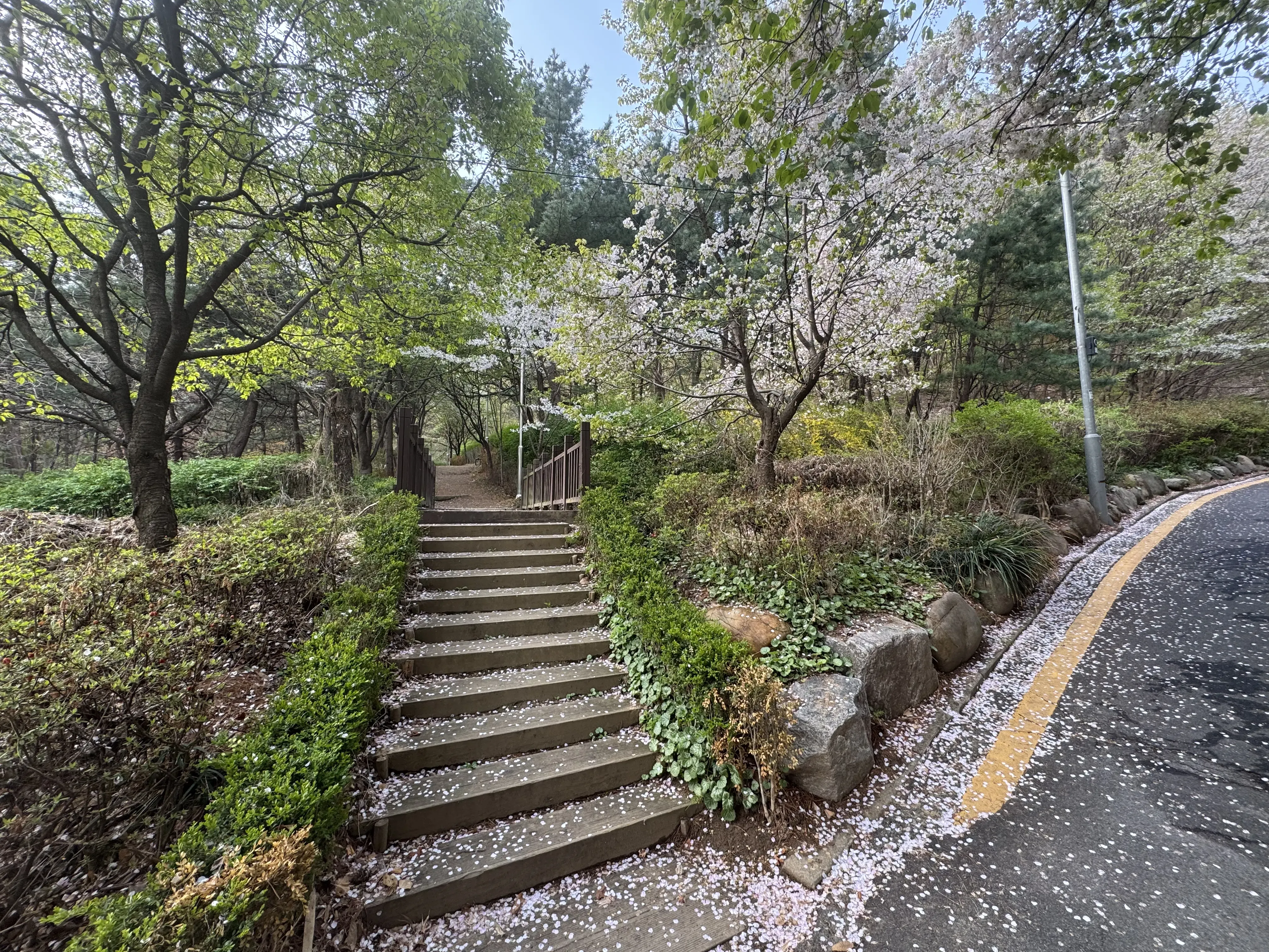 Image 20